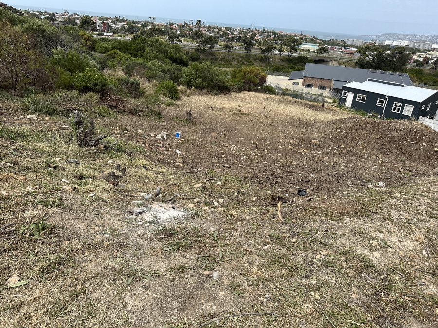 0 Bedroom Property for Sale in Seemeeu Park Western Cape